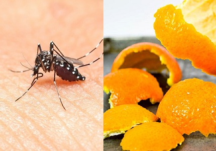 Những cách đuổi muỗi hiệu quả mà không cần dùng hóa chất