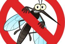 Đuổi muỗi hiệu quả, an toàn, không cần dùng hóa chất
