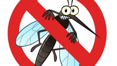 Đuổi muỗi hiệu quả, an toàn, không cần dùng hóa chất