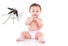 Những nguy cơ trẻ có thể gặp khi bị muỗi đốt
