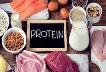 9 chức năng của protein quan trọng đối với cơ thể
