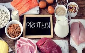 9 chức năng của protein quan trọng đối với cơ thể