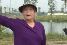 Photo of Bà Nguyễn Thị Sâm thanh oai Vì sao 13 năm Nhân dân xã Cự Khê chưa có đất dịch vụ