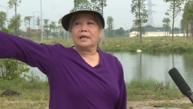 Bà Nguyễn Thị Sâm thanh oai Vì sao 13 năm Nhân dân xã Cự Khê chưa có đất dịch vụ